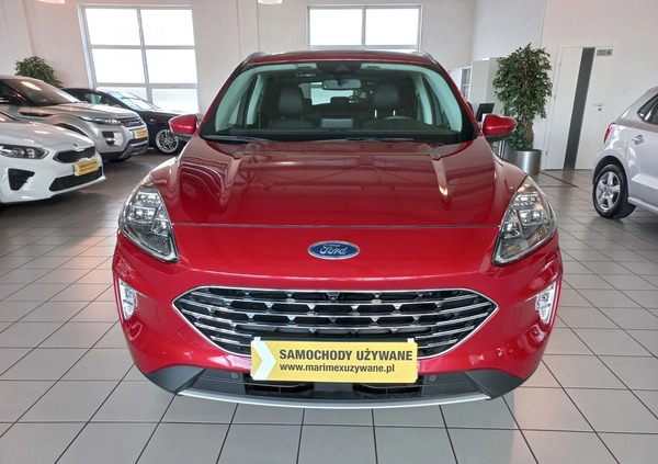 Ford Kuga cena 125500 przebieg: 25550, rok produkcji 2021 z Chojnów małe 352